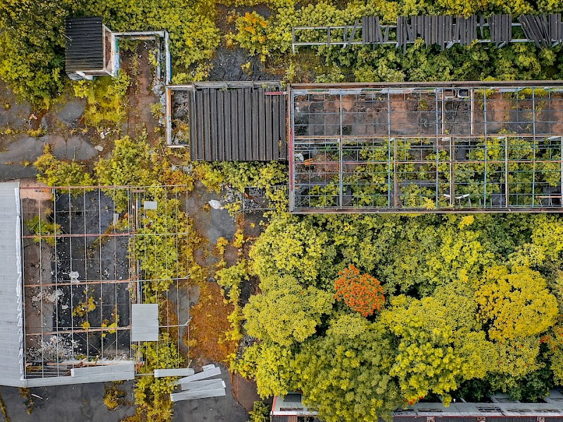 Navigating Greenhouse Regulations in NYC